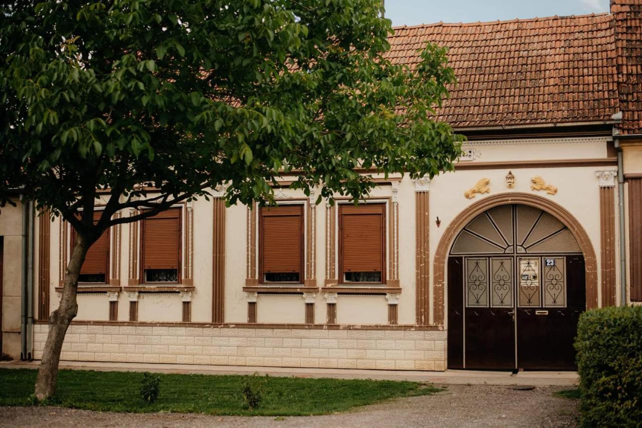 Vila Kuca Za Odmor "Sokacka Lady" Zupanja Exteriér fotografie